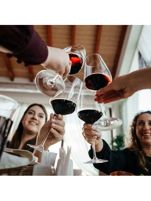 Вино Chateau Pinot Колдун красное сухое, 0.75л