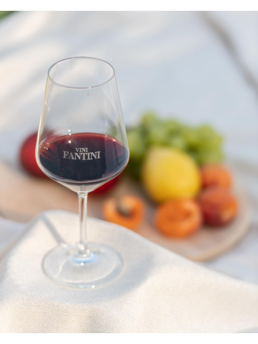 Вино Riporta Primitivo красное полусухое, 0.75л