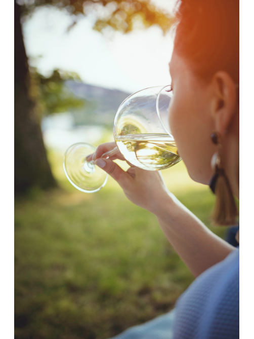Вино Delecto Verdejo Seleccion белое сухое, 0.75л