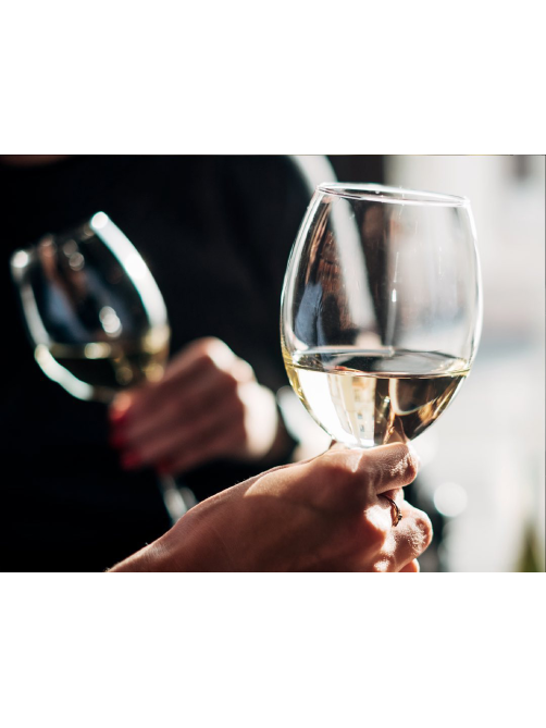 Вино Alma Valley Sauvignon Blanc белое сухое, 0.75л