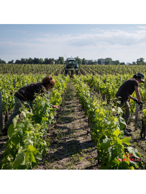 Вино La Closerie de Camensac Haut-Medoc красное сухое, 0.75л