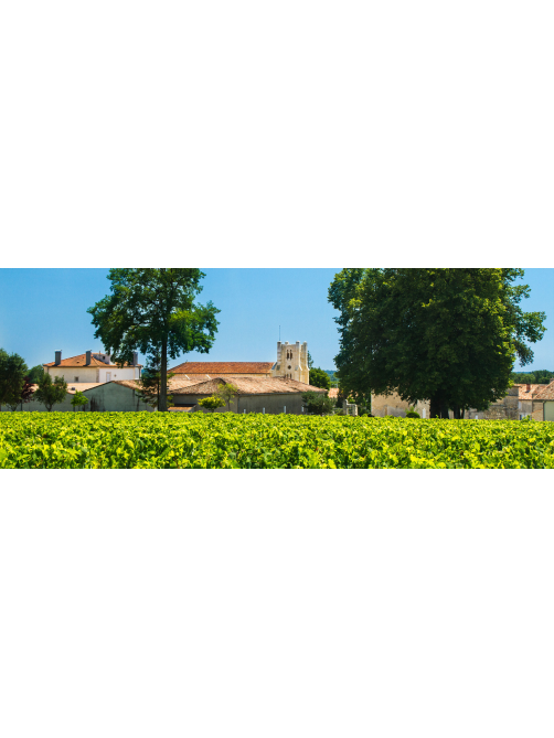 Вино Chateau Potensac Medoc красное сухое, 0.75л