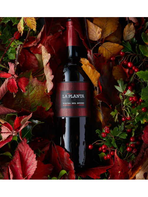 Вино Arzuaga Ribera del Duero La Planta красное сухое, 0.75л
