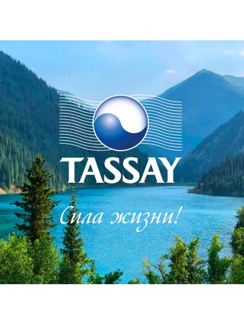 Вода Tassay питьевая негазированная, 1л