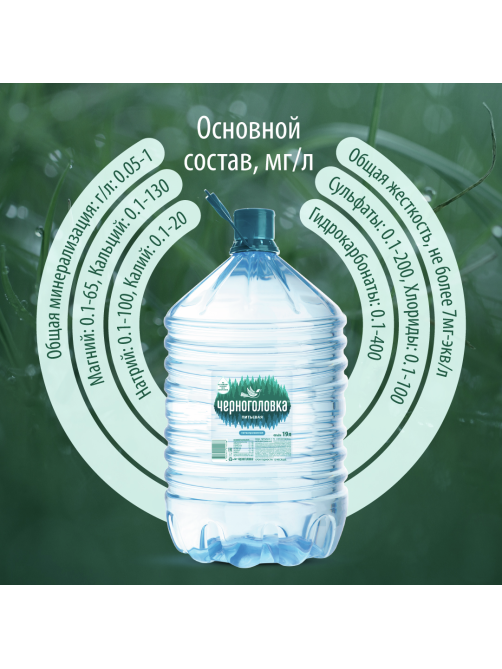 Вода Черноголовка питьевая негазированная, 19л