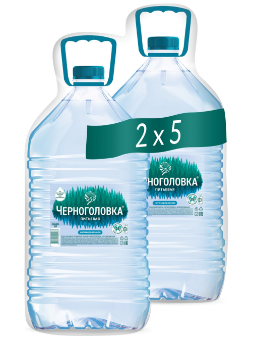 Вода Черноголовка природная питьевая негазированная, 5л