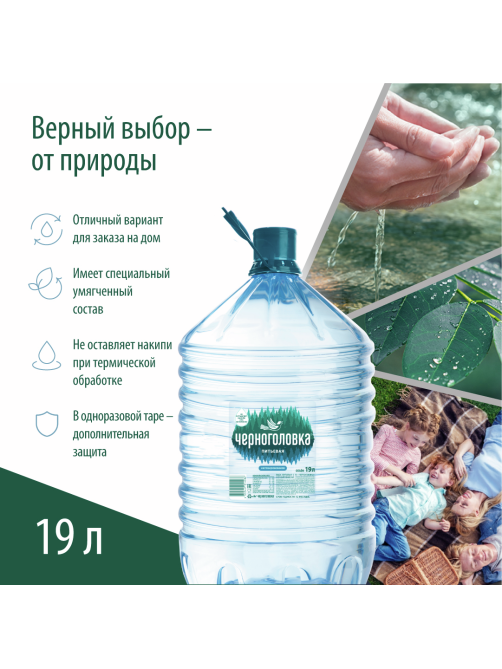 Вода Черноголовка питьевая негазированная, 19л