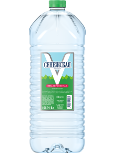 Вода Сенежская питьевая негазированная, 5л