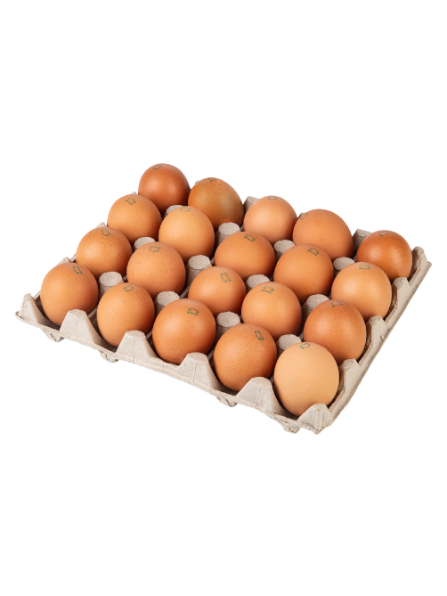 METRO Chef Яйцо куриное Экстра С1, 20шт