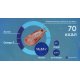 Креветки камчатские Agama 35/45 варено-мороженые, 800г