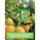 Пюре фруктово-зерновое детское Gerber яблоко, манго и овсяная каша, 110г