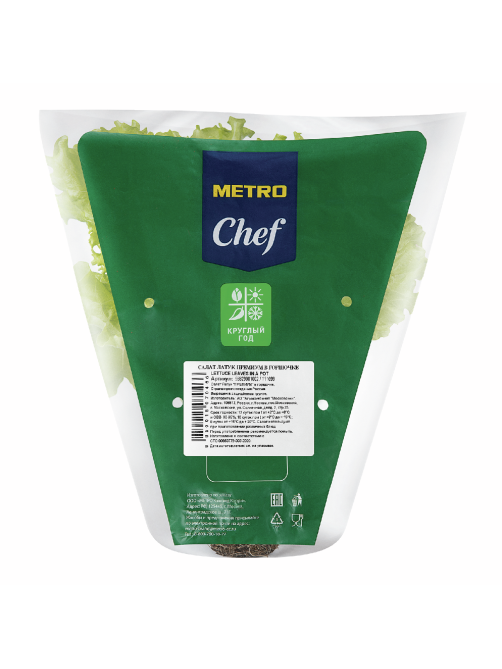 METRO Chef Салат Листовой в горшочке, 75г