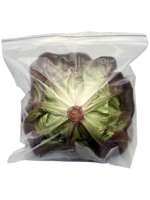 Салат Красный Бостон Superfood Farm, 120г