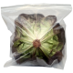 Салат Красный Бостон Superfood Farm, 120г