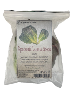 Салат Литл Джем Superfood Farm красный, 120г