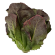 Салат Литл Джем Superfood Farm красный, 120г