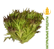Салат Рэд Крисп Superfood Farm, 120г