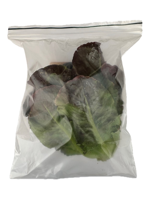 Салат Литл Джем Superfood Farm красный, 120г