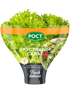 Салат Латук хрустящий в горшочке, 200г