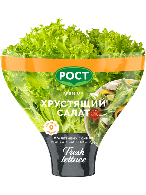 Салат Латук хрустящий в горшочке, 200г