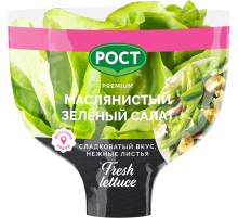 Салат Латук Маслянистый в горшочке, 80г