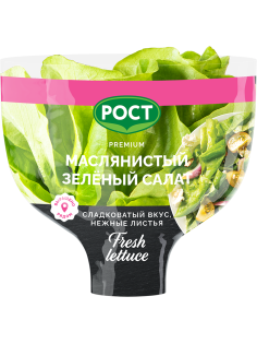 Салат Латук Маслянистый в горшочке, 80г