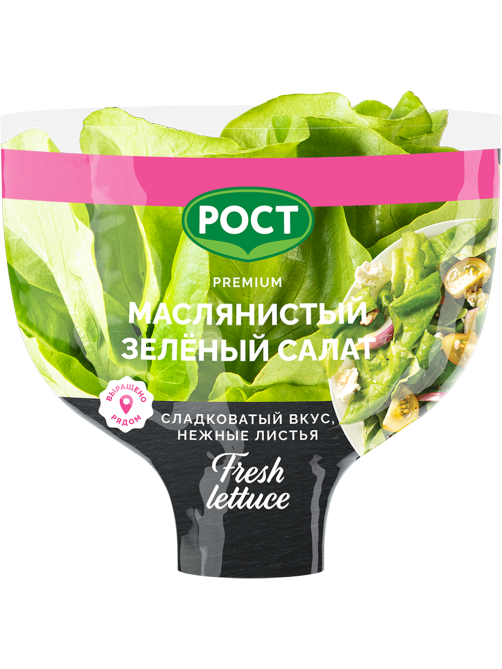 Салат Латук Маслянистый в горшочке, 80г
