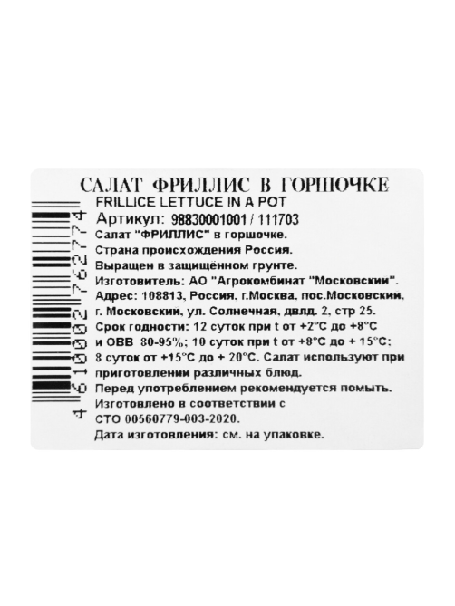 METRO Chef Салат Фриллис в горшочке, 75г