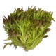 Салат Рэд Крисп Superfood Farm, 120г