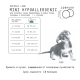 Корм сухой Ajo Mini Hypoallergenic для собак индейка-гречка, 2кг