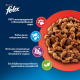 Корм сухой Felix Мясное объедение для взрослых кошек с говядиной, 600г