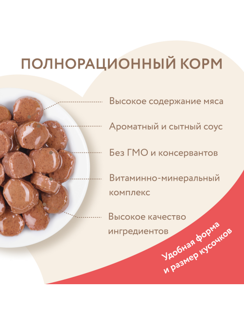 Корм влажный Мнямс для кошек кусочки в соусе лосось, 85г