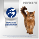 Корм сухой Perfect Fit для стерилизованных кошек с говядиной, 650г