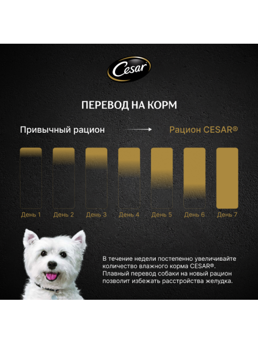 Корм влажный Cesar для взрослых собак паштет с говядиной, 80г