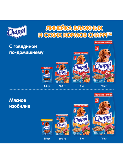 Корм сухой Chappi для собак с говядиной по-домашнему, 600г