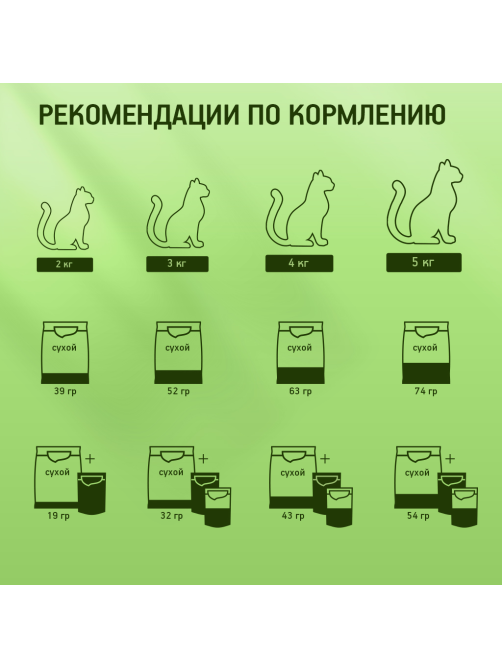 Корм сухой Kitekat Мясной Пир для взрослых кошек, 800г