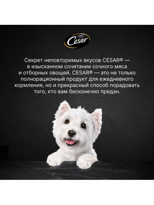Корм влажный Cesar для взрослых собак паштет с говядиной, 80г