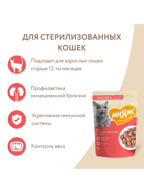 Корм влажный Мнямс для кошек кусочки в соусе лосось, 85г