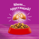 Сухой корм Whiskas для кошек с говядиной, 1.3кг