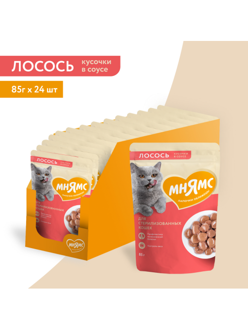 Корм влажный Мнямс для кошек кусочки в соусе лосось, 85г
