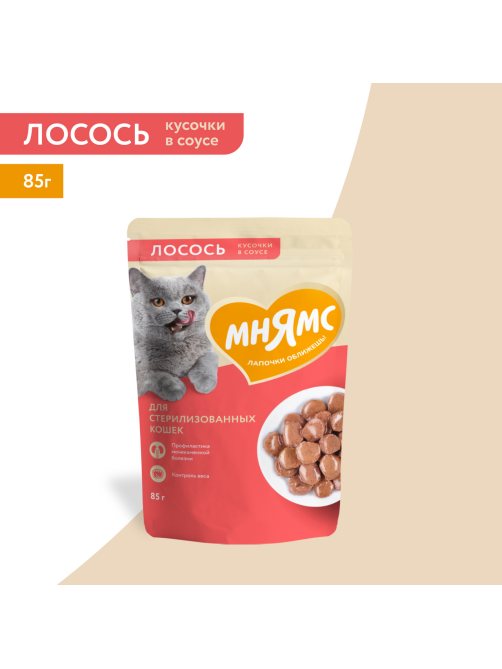 Корм влажный Мнямс для кошек кусочки в соусе лосось, 85г