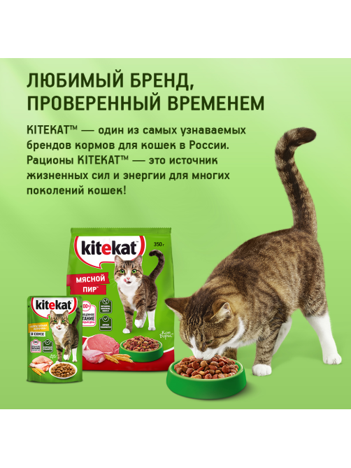 Корм влажный Kitekat для взрослых кошек с говядиной в соусе, 85г