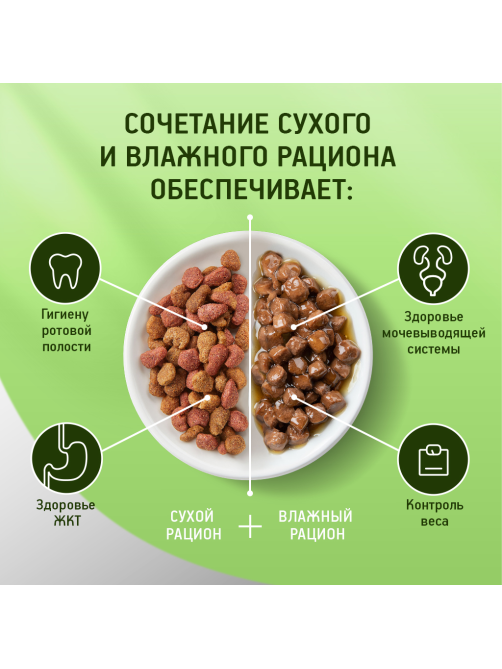 Корм сухой Kitekat Курочка аппетитная для взрослых кошек, 800г