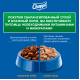 Корм влажный Chappi Сытный мясной обед для собак с говядиной по-домашнему, 85г