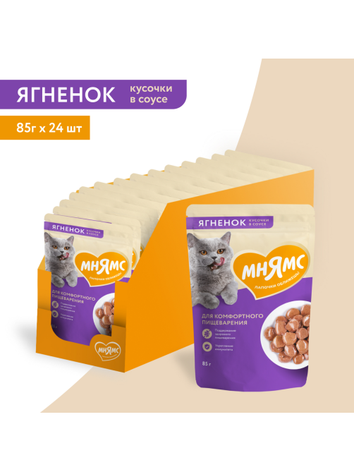 Корм влажный Мнямс для кошек кусочки в соусе ягненок, 85г