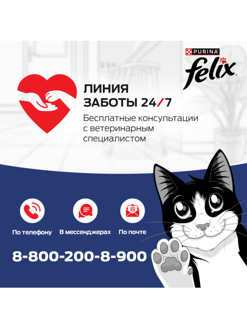 Корм сухой Felix Мясное объедение для взрослых кошек с говядиной, 600г