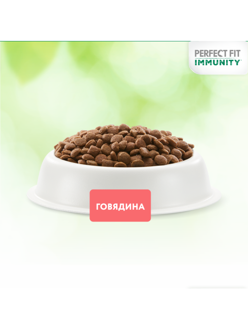 Корм сухой Perfect Fit для взрослых кошек иммунитет говядина-лен-голубика, 1.1кг