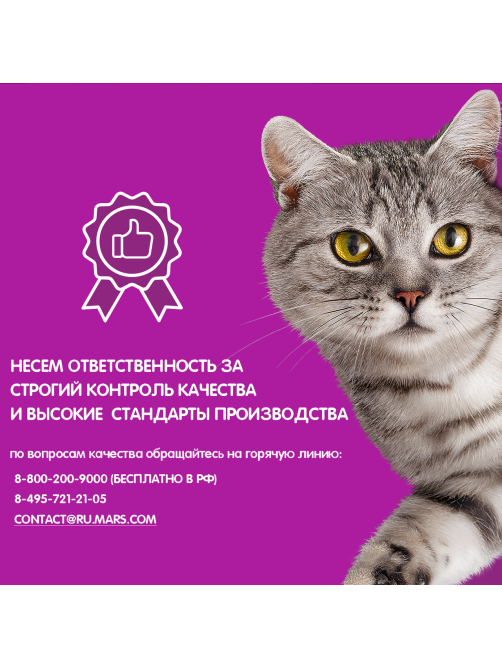 Корм влажный Whiskas рагу для взрослых кошек с телятиной, 75г x 28 шт
