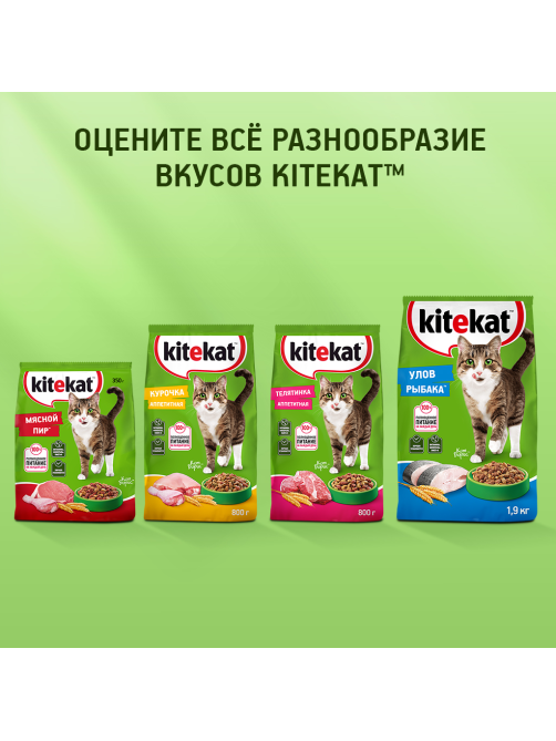 Корм сухой Kitekat Телятинка аппетитная для взрослых кошек, 350г