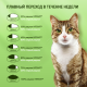 Корм сухой Kitekat Мясной Пир для взрослых кошек, 800г